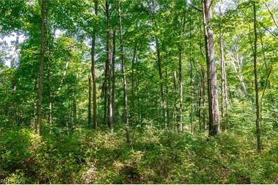 County Rd 269, Glouster, OH 43730 - Photo 8