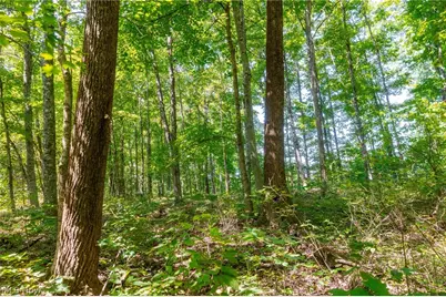 County Rd 269, Glouster, OH 43730 - Photo 6