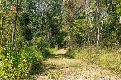 0 County Rd 269, Glouster, OH 43730 - Photo 6