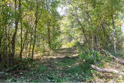 0 County Rd 269, Glouster, OH 43730 - Photo 4