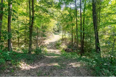 0 County Rd 269, Glouster, OH 43730 - Photo 12
