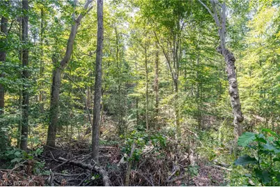 0 4 County Rd 269, Glouster, OH 43730 - Photo 12
