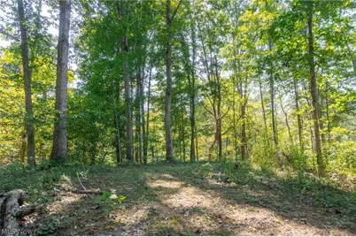 0 County Rd 269, Glouster, OH 43730 - Photo 6