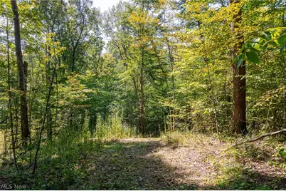 0 County Rd 269, Glouster, OH 43730 - Photo 18