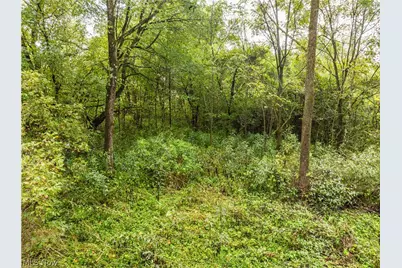 Sr 60, Dresden, OH 43821 - Photo 4