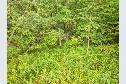 Sr 60, Dresden, OH 43821 - Photo 2