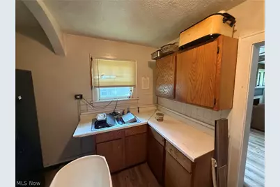 241 Sobul Avenue, Akron, OH 44305 - Photo 10