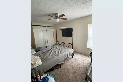 7310 Colfax Road, Loveland, OH 44104 - Photo 10