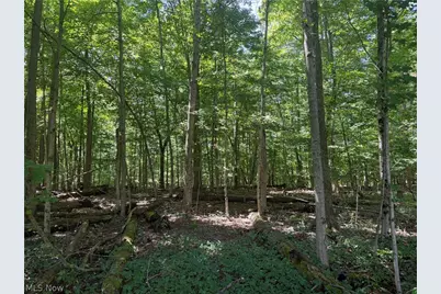602 State Route 511, Ashland, OH 44805 - Photo 6