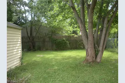 12503 Carrington Avenue, Loveland, OH 44135 - Photo 8