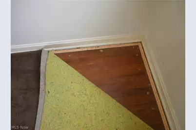 12503 Carrington Avenue, Loveland, OH 44135 - Photo 30