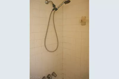 12503 Carrington Avenue, Loveland, OH 44135 - Photo 22