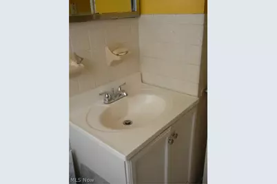 12503 Carrington Avenue, Loveland, OH 44135 - Photo 20