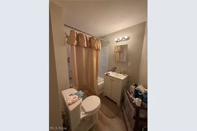 381 E 152nd Street, Loveland, OH 44110 - Photo 8
