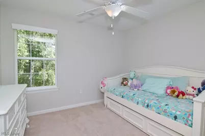 10442 Florida Street, Reminderville, OH 44202 - Photo 26