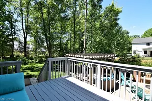 10442 Florida St, Reminderville, OH 44202 - Photo 46