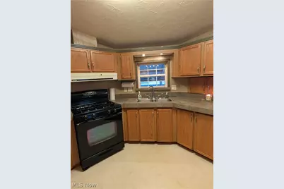 316 Britton Drive, Geneva, OH 44041 - Photo 10