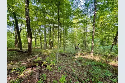 43334 Township Road 971, Lewisville, OH 43793 - Photo 16