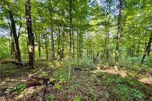 43334 Township Road 971, Lewisville, OH 43793 - Photo 16