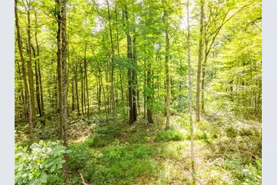 Private Road 3000, Millersburg, OH 44654 - Photo 6