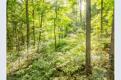 Private Road 3000, Millersburg, OH 44654 - Photo 46