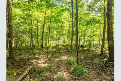 Private Road 3000, Millersburg, OH 44654 - Photo 28