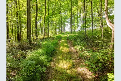 Private Road 3000, Millersburg, OH 44654 - Photo 26
