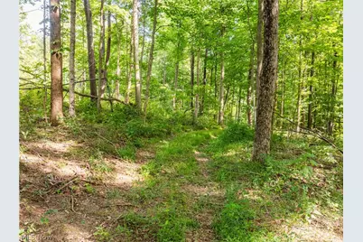 Private Road 3000, Millersburg, OH 44654 - Photo 50