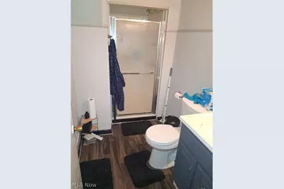 7016 Ivy Avenue, Loveland, OH 44127 - Photo 28