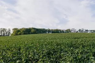 940 Parks Ave SE, Paris, OH 44669 - Photo 18