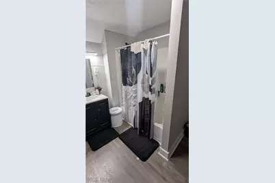 385 Campbell Street, Akron, OH 44307 - Photo 32