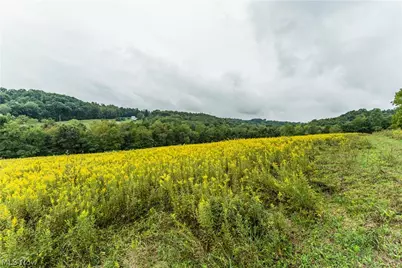 36810 Township Road 68A, Coshocton, OH 43821 - Photo 18