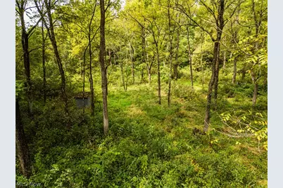 36810 Township Road 68A, Coshocton, OH 43821 - Photo 50