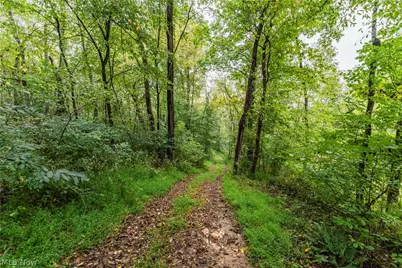 36810 Township Road 68A, Coshocton, OH 43821 - Photo 8