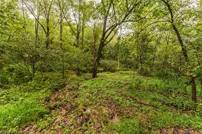 36810 Township Road 68A, Coshocton, OH 43821 - Photo 6