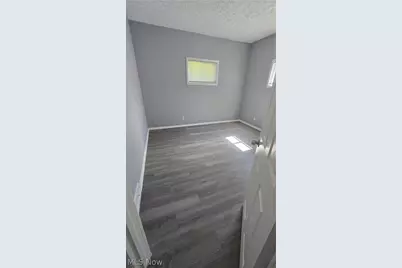 810 E 157th Street, Loveland, OH 44110 - Photo 32