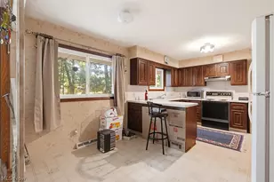 1780 E Parkhaven Dr, Green Hills, OH 44131 - Photo 16