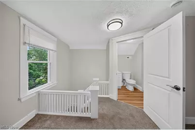 10524 Lee Avenue, Loveland, OH 44106 - Photo 24