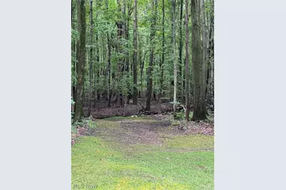 919 Horton Road, Conneaut, OH 44030 - Photo 42