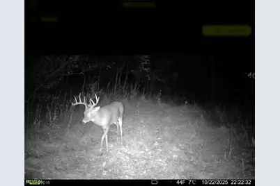 Tr 68, Dresden, OH 43821 - Photo 12