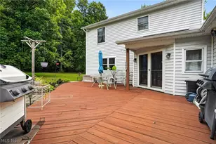 6601 Vrooman Rd, Painesville, OH 44077 - Photo 40