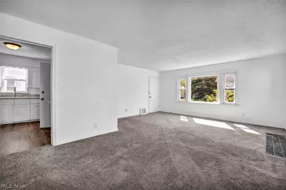 907 Whittier Avenue, Akron, OH 44320 - Photo 4
