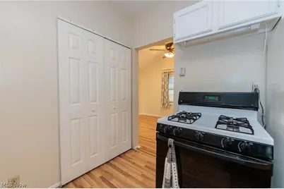 1305 Big Falls Avenue, Akron, OH 44310 - Photo 24