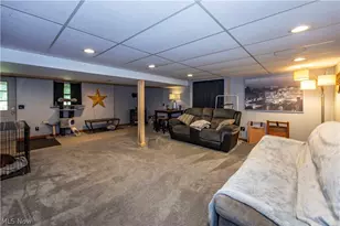7037 Ryan Rd, Medina, OH 44256 - Photo 30