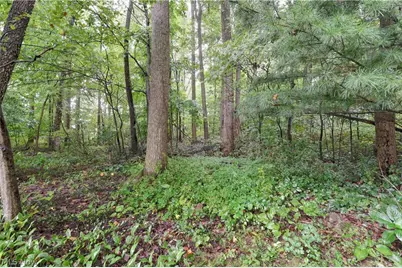 5771 County Road 407, Millersburg, OH 44654 - Photo 30