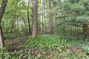 5771 Co Rd 407, Millersburg, OH 44654 - Photo 30