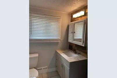 1607 E 34th Street, Loveland, OH 44114 - Photo 16