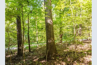29556 Township Road 209, Coshocton, OH 43812 - Photo 36
