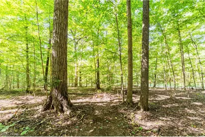29556 Township Road 209, Coshocton, OH 43812 - Photo 44