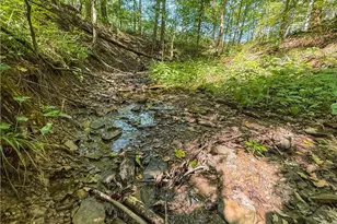 29556 Township Rd 209, Coshocton, OH 43812 - Photo 48